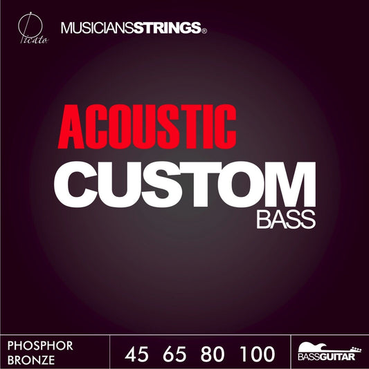 Picato 4 String Phosphor Bronze 45-100 Std-Light Acoustic Bass Strings 96510